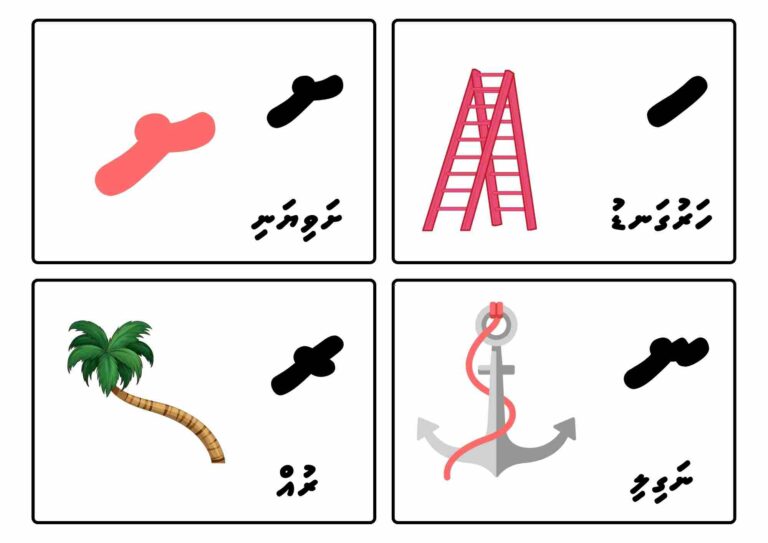 ހާށަވިޔަނި ފުލެޝްކާރޑް